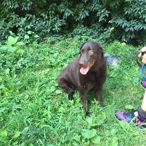 Meet your Posher, Nancy